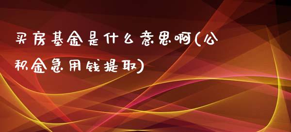 买房基金是什么意思啊(公积金急用钱提取)_https://www.yunyouns.com_恒生指数_第1张