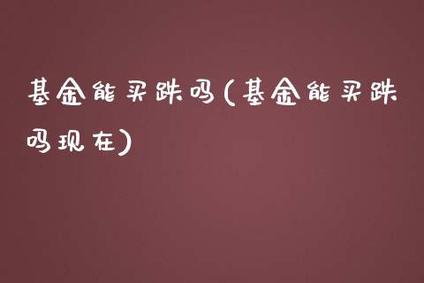 基金能买跌吗(基金能买跌吗现在)_https://www.yunyouns.com_股指期货_第1张