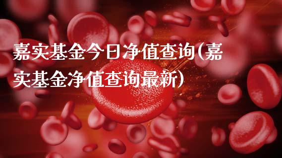 嘉实基金今日净值查询(嘉实基金净值查询最新)_https://www.yunyouns.com_期货行情_第1张