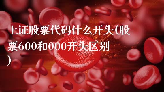 上证股票代码什么开头(股票600和000开头区别)_https://www.yunyouns.com_恒生指数_第1张