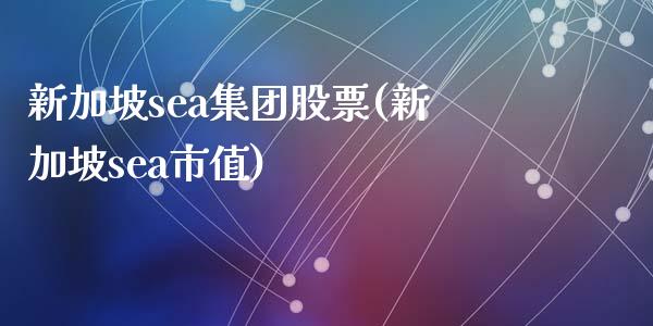 新加坡sea集团股票(新加坡sea市值)_https://www.yunyouns.com_期货行情_第1张