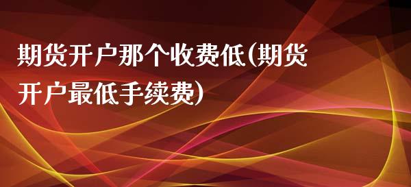 期货开户那个收费低(期货开户最低手续费)_https://www.yunyouns.com_恒生指数_第1张