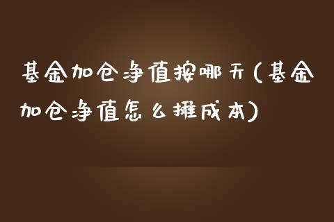 基金加仓净值按哪天(基金加仓净值怎么摊成本)_https://www.yunyouns.com_期货直播_第1张