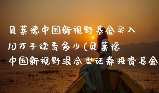 贝莱德中国新视野基金买入10万手续费多少(贝莱德中国新视野混合型证券投资基金c)_https://www.yunyouns.com_期货直播_第1张