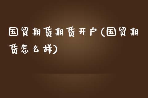 国贸期货期货开户(国贸期货怎么样)_https://www.yunyouns.com_期货行情_第1张