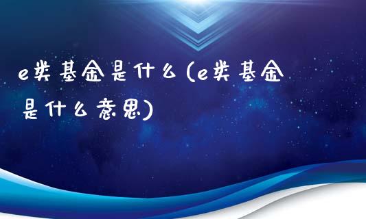 e类基金是什么(e类基金是什么意思)_https://www.yunyouns.com_恒生指数_第1张