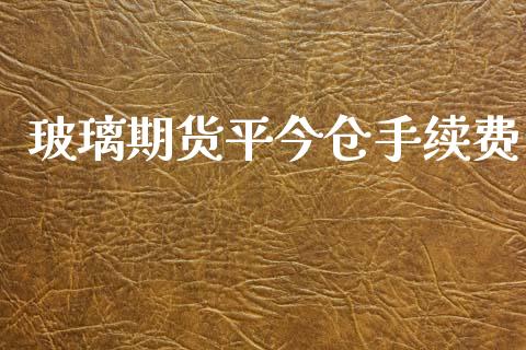 玻璃期货平今仓手续费_https://www.yunyouns.com_期货行情_第1张