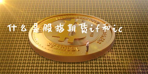 什么是股指期货if和ic_https://www.yunyouns.com_股指期货_第1张