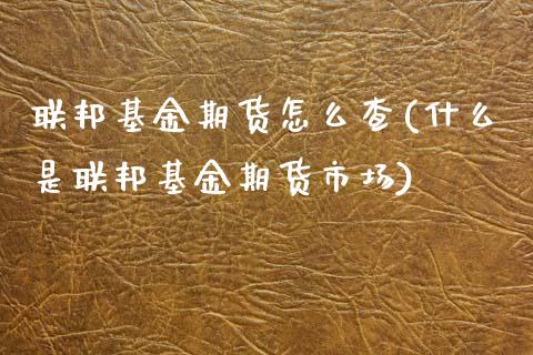 联邦基金期货怎么查(什么是联邦基金期货市场)_https://www.yunyouns.com_期货直播_第1张