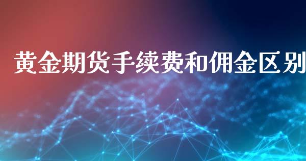 黄金期货手续费和佣金区别_https://www.yunyouns.com_期货直播_第1张