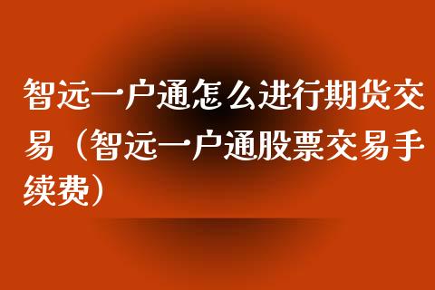 智远一户通怎么进行期货交易（智远一户通股票交易手续费）_https://www.yunyouns.com_期货直播_第1张