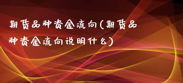 期货品种资金流向(期货品种资金流向说明什么)_https://www.yunyouns.com_期货行情_第1张