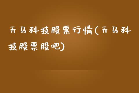 天马科技股票行情(天马科技股票股吧)_https://www.yunyouns.com_股指期货_第1张