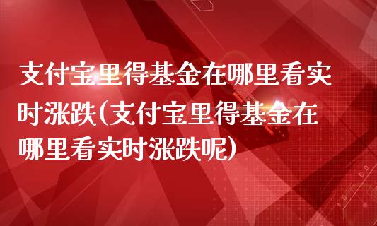 支付宝里得基金在哪里看实时涨跌(支付宝里得基金在哪里看实时涨跌呢)_https://www.yunyouns.com_期货行情_第1张