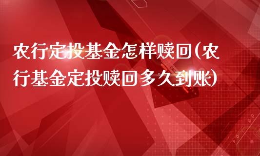 农行定投基金怎样赎回(农行基金定投赎回多久到账)_https://www.yunyouns.com_恒生指数_第1张