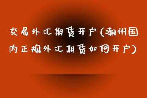 交易外汇期货开户(潮州国内正规外汇期货如何开户)_https://www.yunyouns.com_恒生指数_第1张