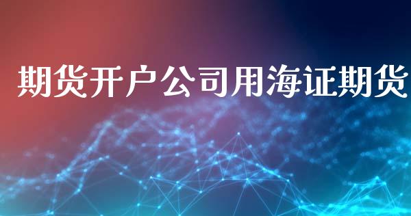 期货开户公司用海证期货_https://www.yunyouns.com_期货直播_第1张