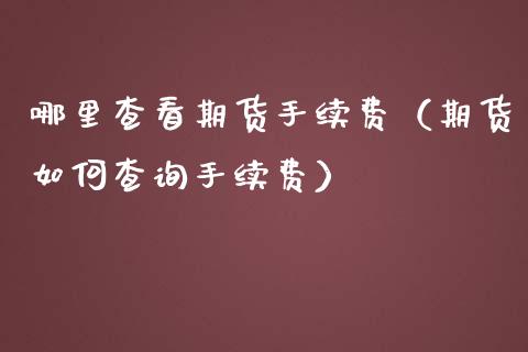 哪里查看期货手续费（期货如何查询手续费）_https://www.yunyouns.com_期货行情_第1张