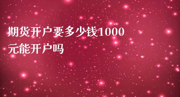 期货开户要多少钱1000元能开户吗_https://www.yunyouns.com_期货直播_第1张