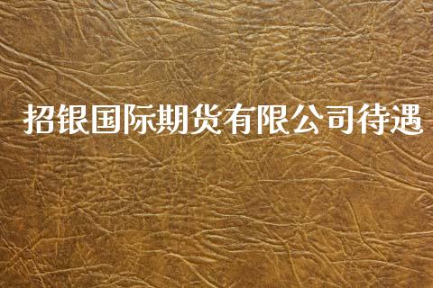 招银国际期货有限公司待遇_https://www.yunyouns.com_期货行情_第1张