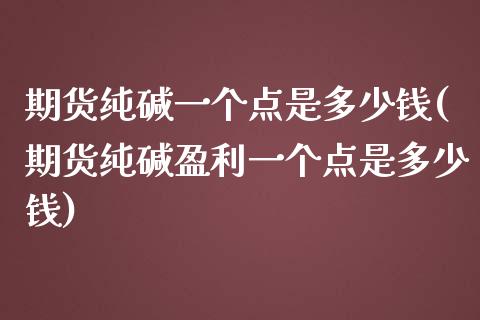 期货纯碱一个点是多少钱(期货纯碱盈利一个点是多少钱)_https://www.yunyouns.com_恒生指数_第1张