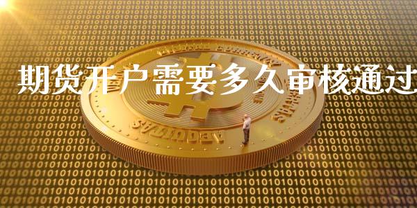 期货开户需要多久审核通过_https://www.yunyouns.com_期货直播_第1张