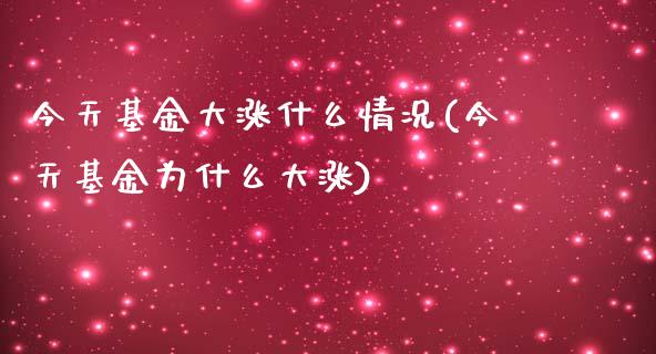 今天基金大涨什么情况(今天基金为什么大涨)_https://www.yunyouns.com_股指期货_第1张