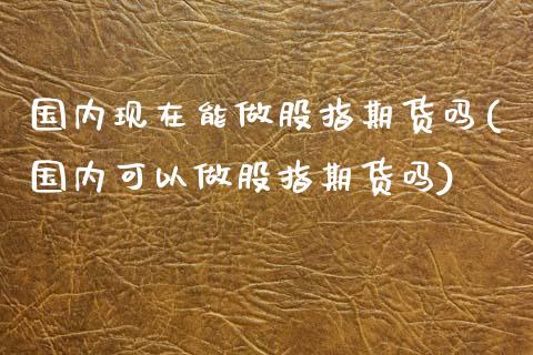 国内现在能做股指期货吗(国内可以做股指期货吗)_https://www.yunyouns.com_期货行情_第1张