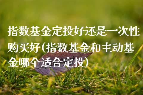 指数基金定投好还是一次性购买好(指数基金和主动基金哪个适合定投)_https://www.yunyouns.com_恒生指数_第1张