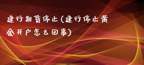 建行期货停止(建行停止黄金开户怎么回事)_https://www.yunyouns.com_恒生指数_第1张