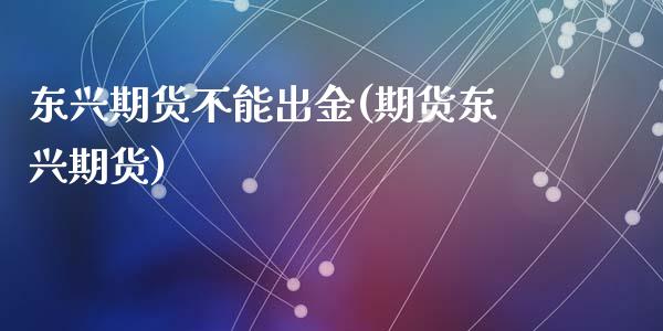 东兴期货不能出金(期货东兴期货)_https://www.yunyouns.com_恒生指数_第1张