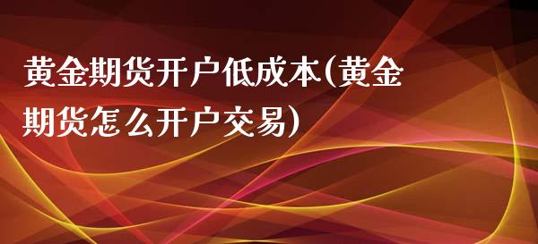 黄金期货开户低成本(黄金期货怎么开户交易)_https://www.yunyouns.com_期货行情_第1张