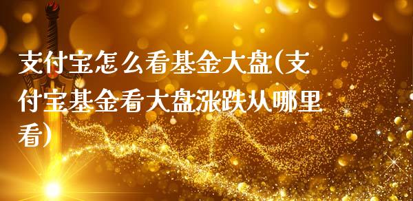 支付宝怎么看基金大盘(支付宝基金看大盘涨跌从哪里看)_https://www.yunyouns.com_股指期货_第1张