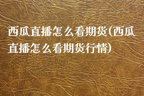 西瓜直播怎么看期货(西瓜直播怎么看期货行情)_https://www.yunyouns.com_股指期货_第1张