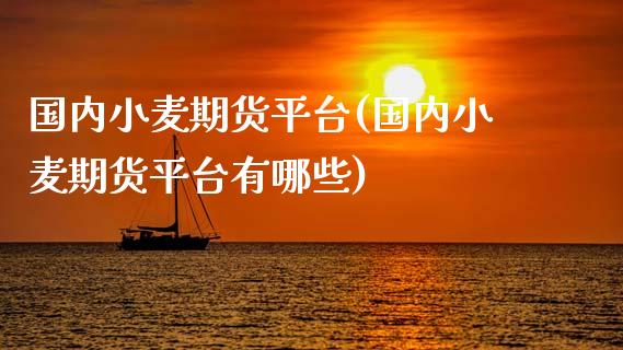 国内小麦期货平台(国内小麦期货平台有哪些)_https://www.yunyouns.com_股指期货_第1张