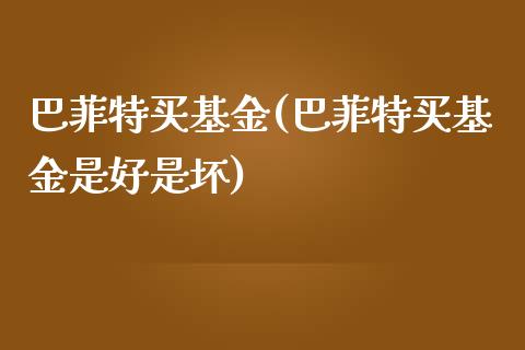 巴菲特买基金(巴菲特买基金是好是坏)_https://www.yunyouns.com_恒生指数_第1张