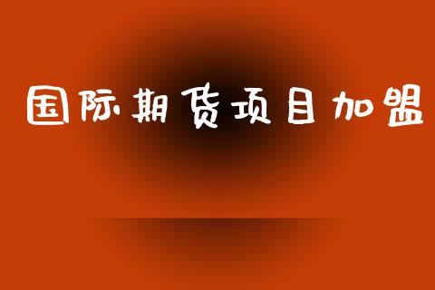 国际期货项目_https://www.yunyouns.com_股指期货_第1张