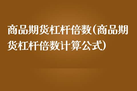 商品期货杠杆倍数(商品期货杠杆倍数计算公式)_https://www.yunyouns.com_期货行情_第1张