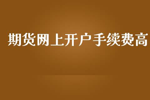 期货网上开户手续费高_https://www.yunyouns.com_股指期货_第1张