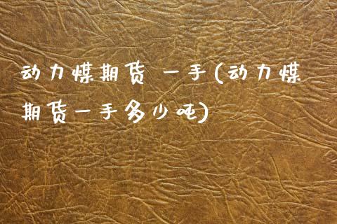 动力煤期货 一手(动力煤期货一手多少吨)_https://www.yunyouns.com_恒生指数_第1张