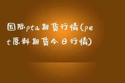 国际pta期货行情(pet原料期货今日行情)_https://www.yunyouns.com_恒生指数_第1张