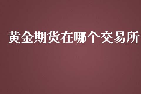 黄金期货在哪个交易所_https://www.yunyouns.com_期货直播_第1张