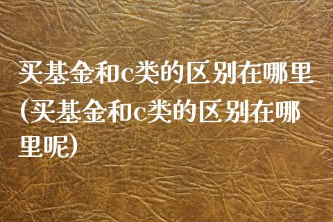 买基金和c类的区别在哪里(买基金和c类的区别在哪里呢)_https://www.yunyouns.com_股指期货_第1张