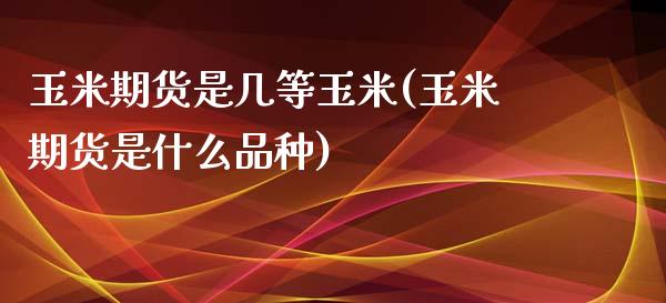 玉米期货是几等玉米(玉米期货是什么品种)_https://www.yunyouns.com_期货直播_第1张