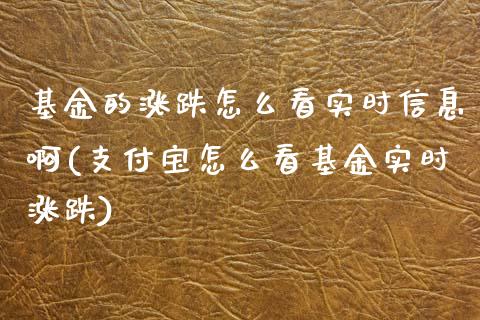 基金的涨跌怎么看实时信息啊(支付宝怎么看基金实时涨跌)_https://www.yunyouns.com_期货直播_第1张