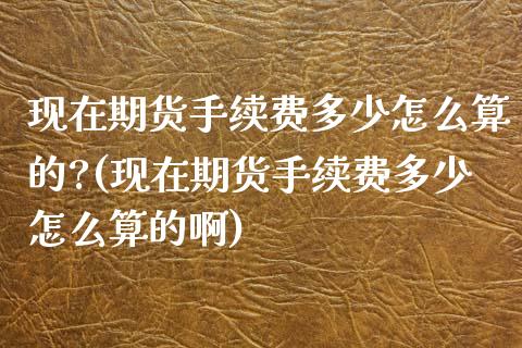 现在期货手续费多少怎么算的?(现在期货手续费多少怎么算的啊)_https://www.yunyouns.com_恒生指数_第1张