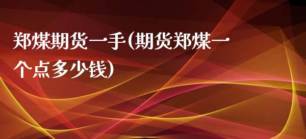 郑煤期货一手(期货郑煤一个点多少钱)_https://www.yunyouns.com_期货直播_第1张