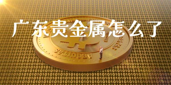 广东贵金属怎么了_https://www.yunyouns.com_恒生指数_第1张