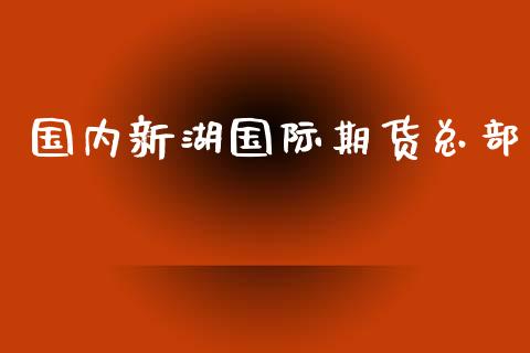 国内新湖国际期货总部_https://www.yunyouns.com_股指期货_第1张