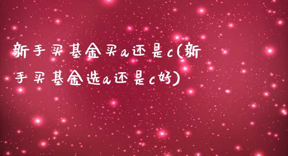 新手买基金买a还是c(新手买基金选a还是c好)_https://www.yunyouns.com_期货直播_第1张